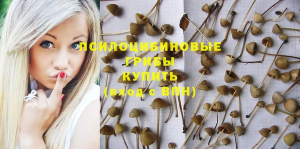 гашишное масло Осташков