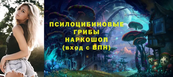 скорость Няндома