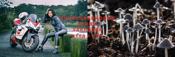 mix Гатчина