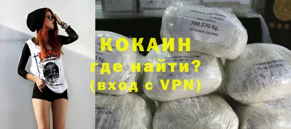 спайс Галич