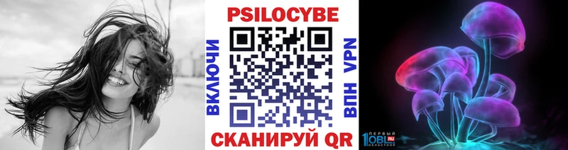 Псилоцибиновые грибы MAGIC MUSHROOMS МЕГА зеркало Пучеж